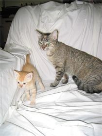 Mom and Corazon