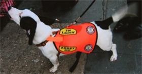 Snoopy