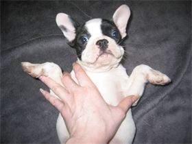 Lenny