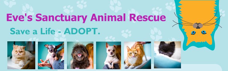 Eve's Sanctuary Animal Rescue - Save a Life - ADOPT.